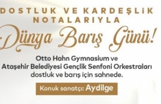 DÜNYA BARIŞI İÇİN ORTAK KONSERLER