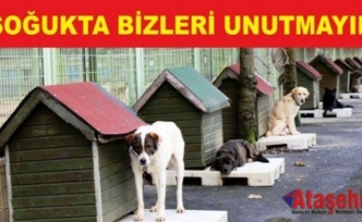 SOĞUKTA BİZLERİ UNUTMAYINIZ