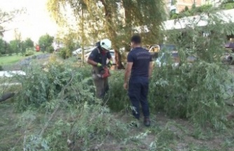 Ataşehir'de Araçların Üzerine Ağaç Devrildi
