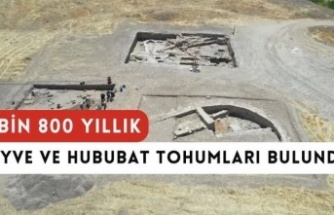 Kastamonu'da 2 bin 800 yıllık sarımsak bulundu