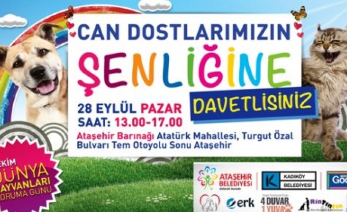 atasehir de can dostlar bulusuyor